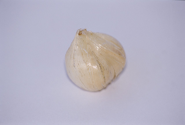 Allium vineale HAIR
