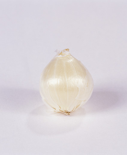 Allium sphaerocephalon