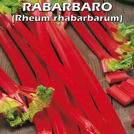 RABARBARO Rheum hybridum