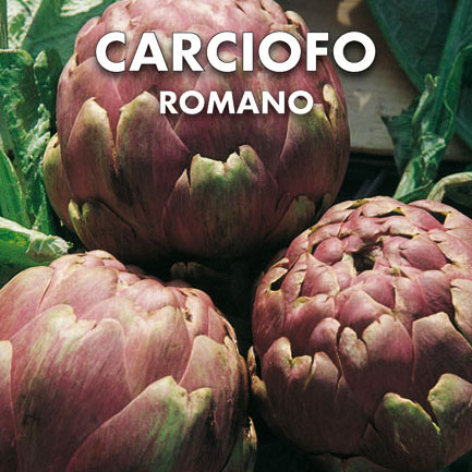 CARCIOFO Romanesco