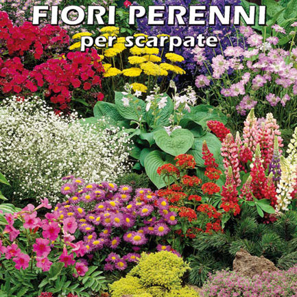 FIORI PERENNI PER SCARPATE