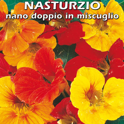 NASTURZIO NANO DOPPIO IN MISCUGLIO