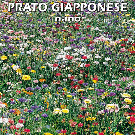 PRATO GIAPPONESE NANO