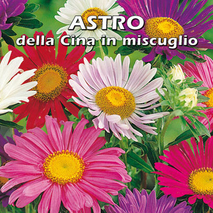 ASTRO DELLA CINA IN MISCUGLIO