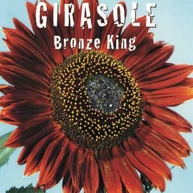 GIRASOLE BRONZE KING