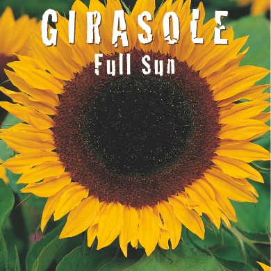 GIRASOLE FULLSUN