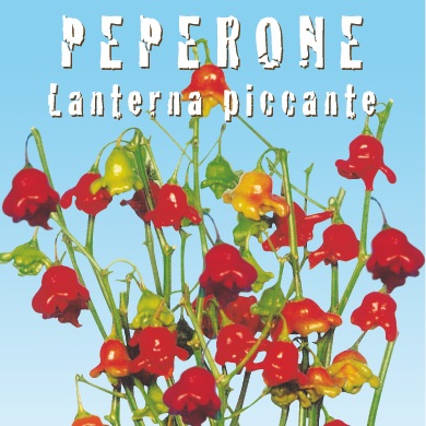 PEPERONE LANTERNA PICCANTE