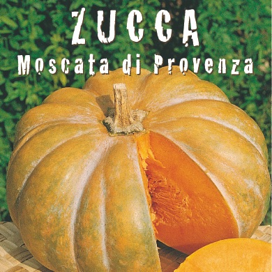 ZUCCA MOSCATA DI PROVENZA