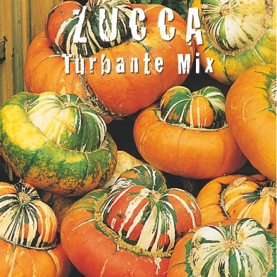 ZUCCA TURBANTE MIX