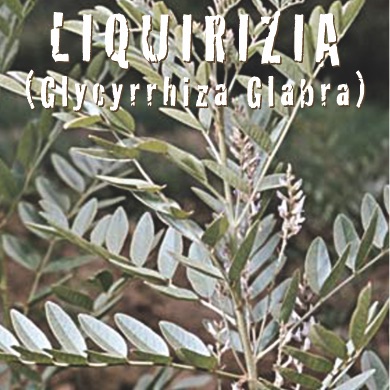 LIQUIRIZIA glycyrrhiza glabra