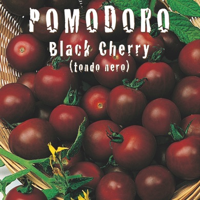 POMODORO TONDO NERO - BLAK CHERRY
