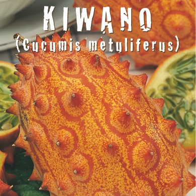 KIWANO Cucumis metuliferus
