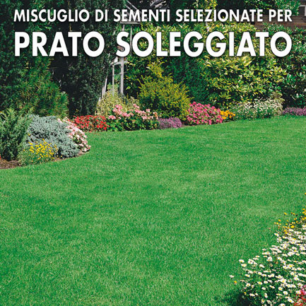 PRATO SOLEGGIATO MISCUGLIO 1Kg