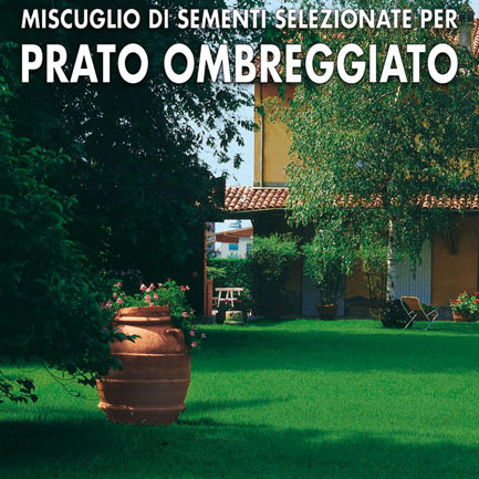 PRATO OMBREGGIATO MISCUGLIO 1Kg