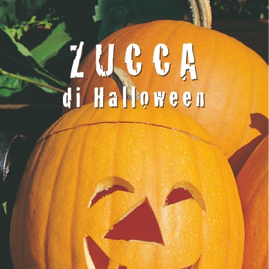 ZUCCA DI HALLOWEEN Cucurbita maxima duchesne