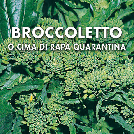 BROCCOLETTO Cima di rapa quarantina