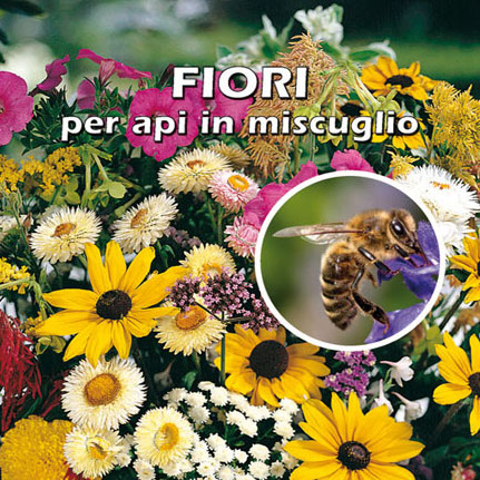 FIORI PER API IN MISCUGLIO