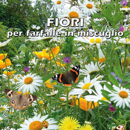 FIORI PER FARFALLE IN MISCUGLIO