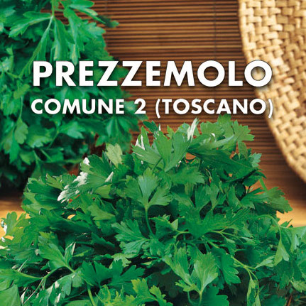 PREZZEMOLO COMUNE 2 (TOSCANO) Petroselinum crispum