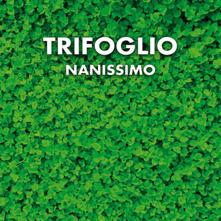 TRIFOGLIO NANISSIMO 100gr