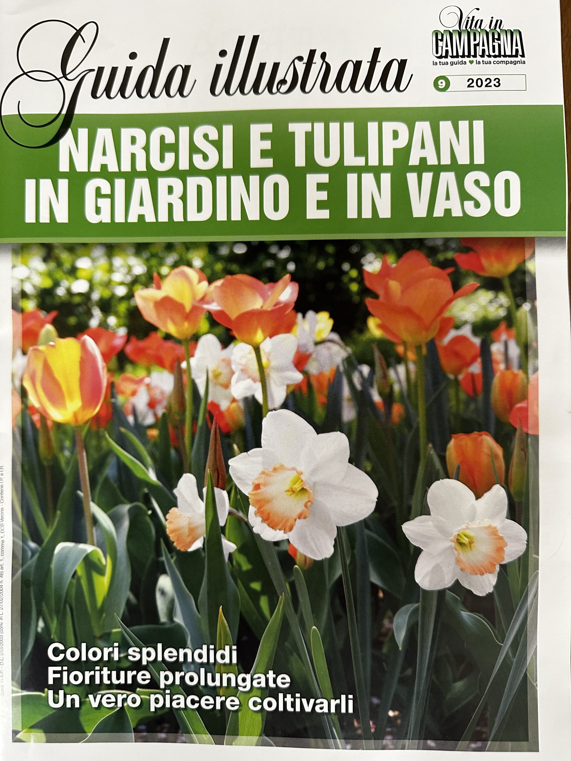 NARCISI E TULIPANI - Guida illustrata di Vita in Campagna