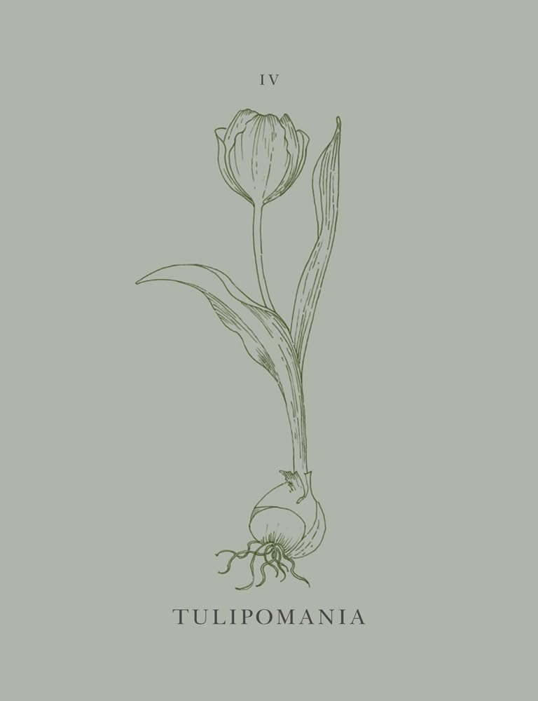 Libro BULBOMANIA di Christian Shejbal e Simonetta Chiarugi