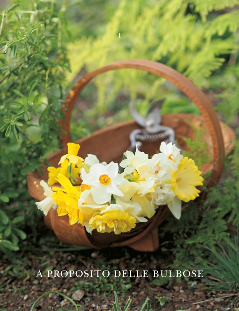 Libro BULBOMANIA di Christian Shejbal e Simonetta Chiarugi